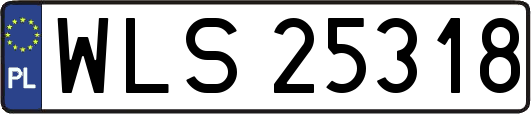 WLS25318