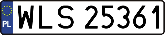 WLS25361