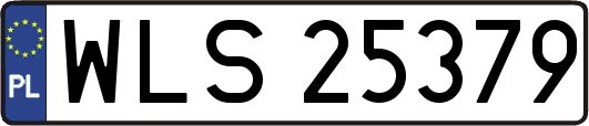 WLS25379