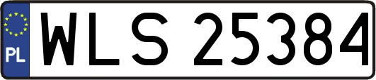 WLS25384