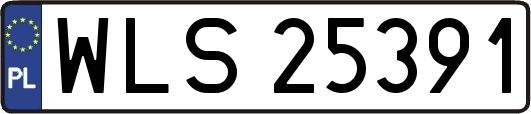 WLS25391