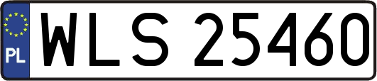 WLS25460