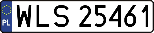 WLS25461