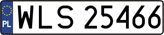WLS25466