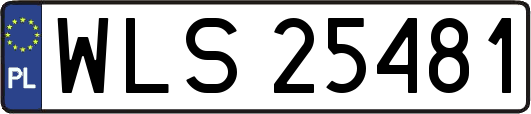 WLS25481