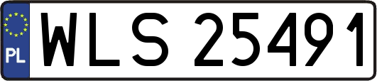 WLS25491