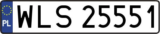 WLS25551