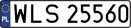 WLS25560