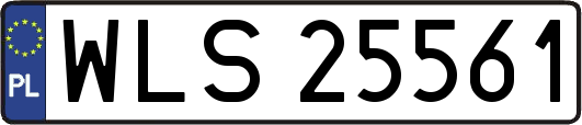 WLS25561