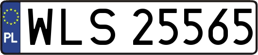 WLS25565