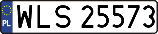 WLS25573