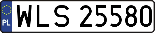 WLS25580