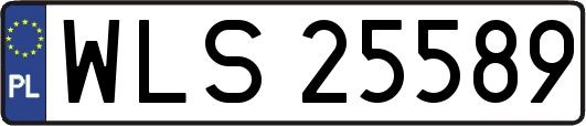 WLS25589