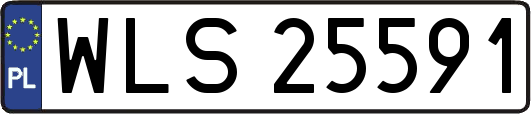 WLS25591