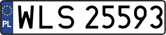WLS25593
