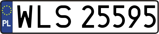 WLS25595