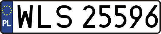 WLS25596