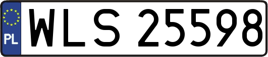 WLS25598