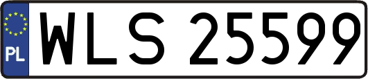 WLS25599