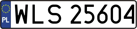 WLS25604