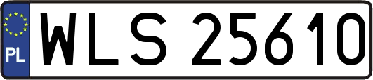 WLS25610