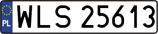 WLS25613