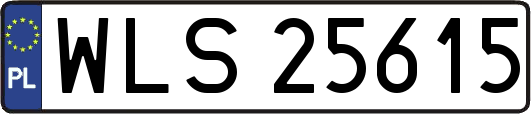 WLS25615