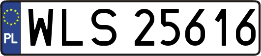 WLS25616