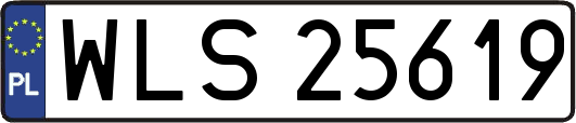 WLS25619
