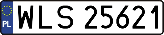 WLS25621