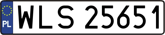 WLS25651