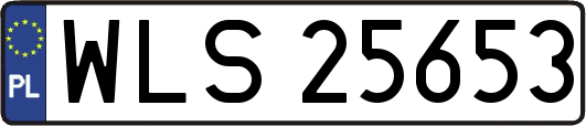 WLS25653