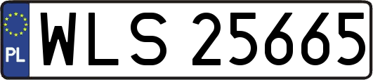WLS25665
