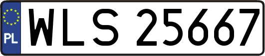 WLS25667