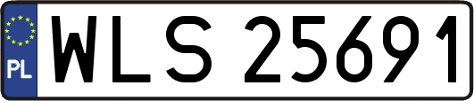 WLS25691