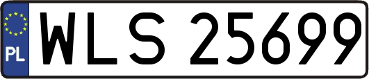 WLS25699