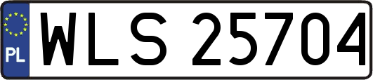 WLS25704