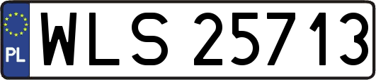 WLS25713