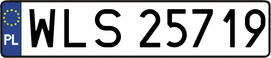 WLS25719