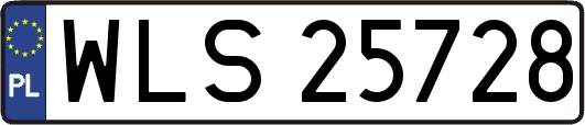 WLS25728