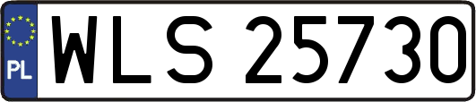 WLS25730