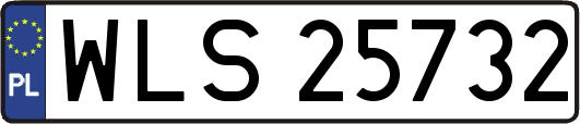 WLS25732