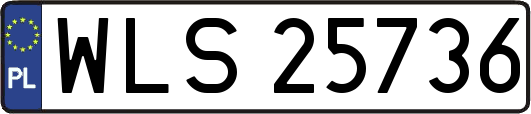 WLS25736