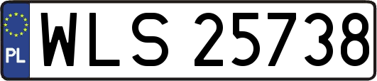WLS25738