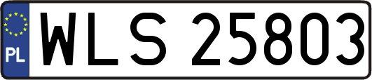 WLS25803