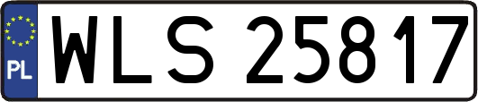 WLS25817