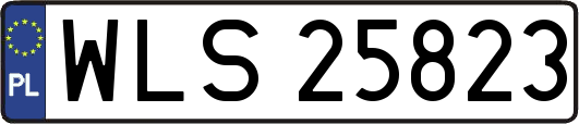 WLS25823