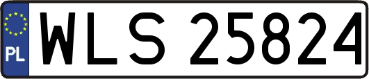 WLS25824