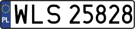 WLS25828