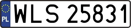 WLS25831